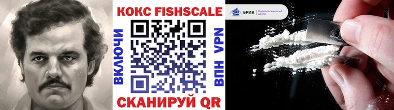 купить цена Печора COCAIN Fish Scale