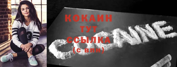 прущие крисы Болотное