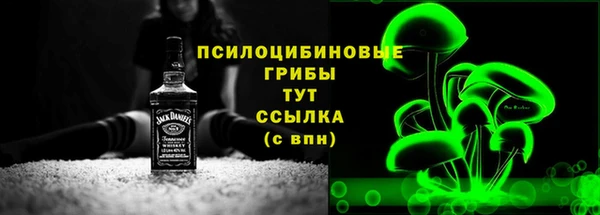 прущая мука Нея