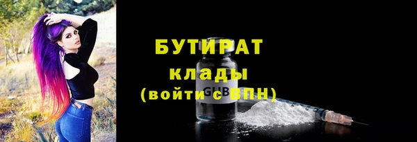 прущие крисы Болотное