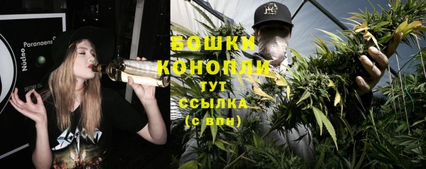 прущая мука Нея