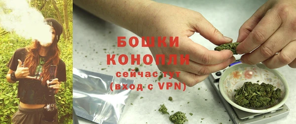 прущая мука Нея