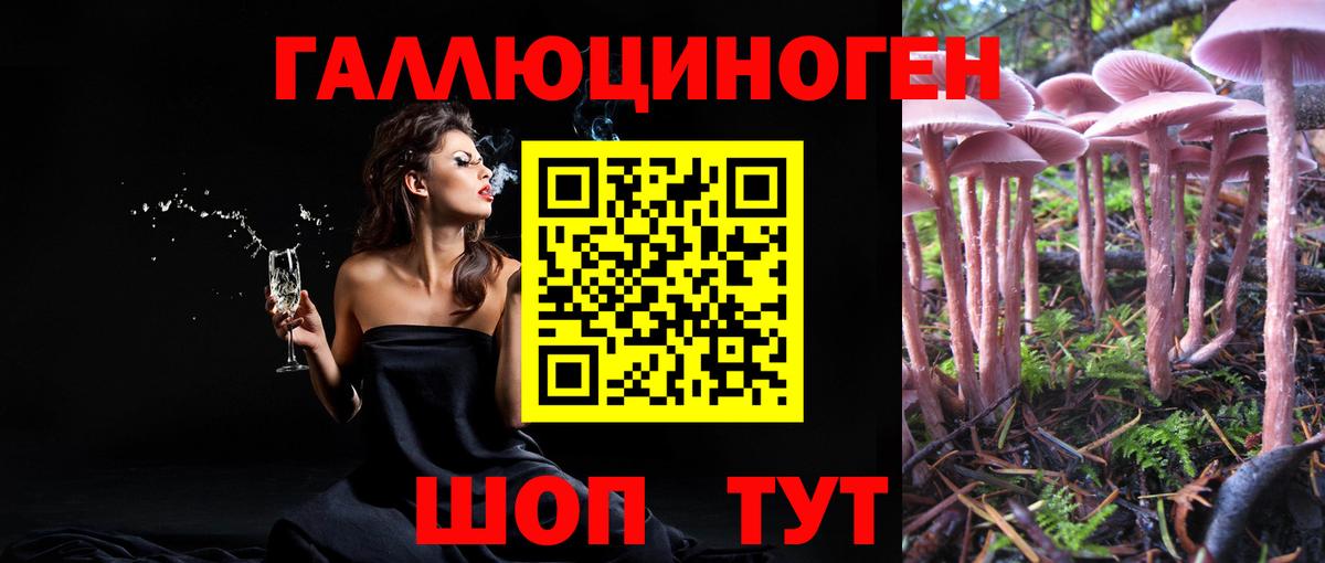 Псилоцибиновые грибы мухоморы Печора