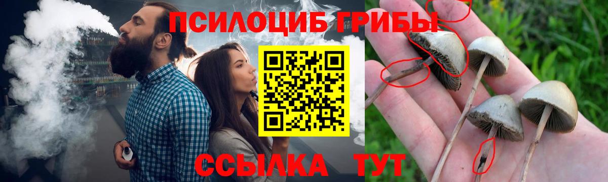 Печора  где купить наркоту  Вход с VPN  Галлюциногенные грибы мицелий 