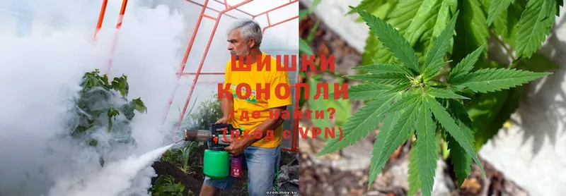 где можно купить наркотик  Печора  OMG рабочий сайт  Бошки Шишки SATIVA & INDICA 